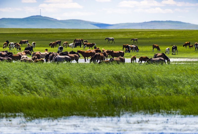内蒙古，团结奋进，共筑美好家园