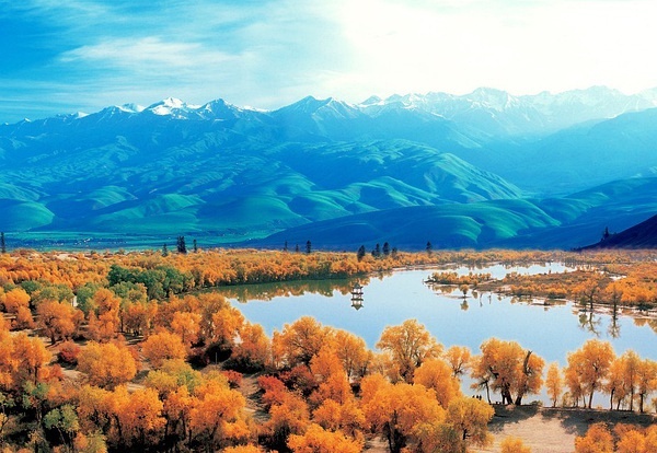 新疆之光，引领科技生活新纪元的高科技产品探秘