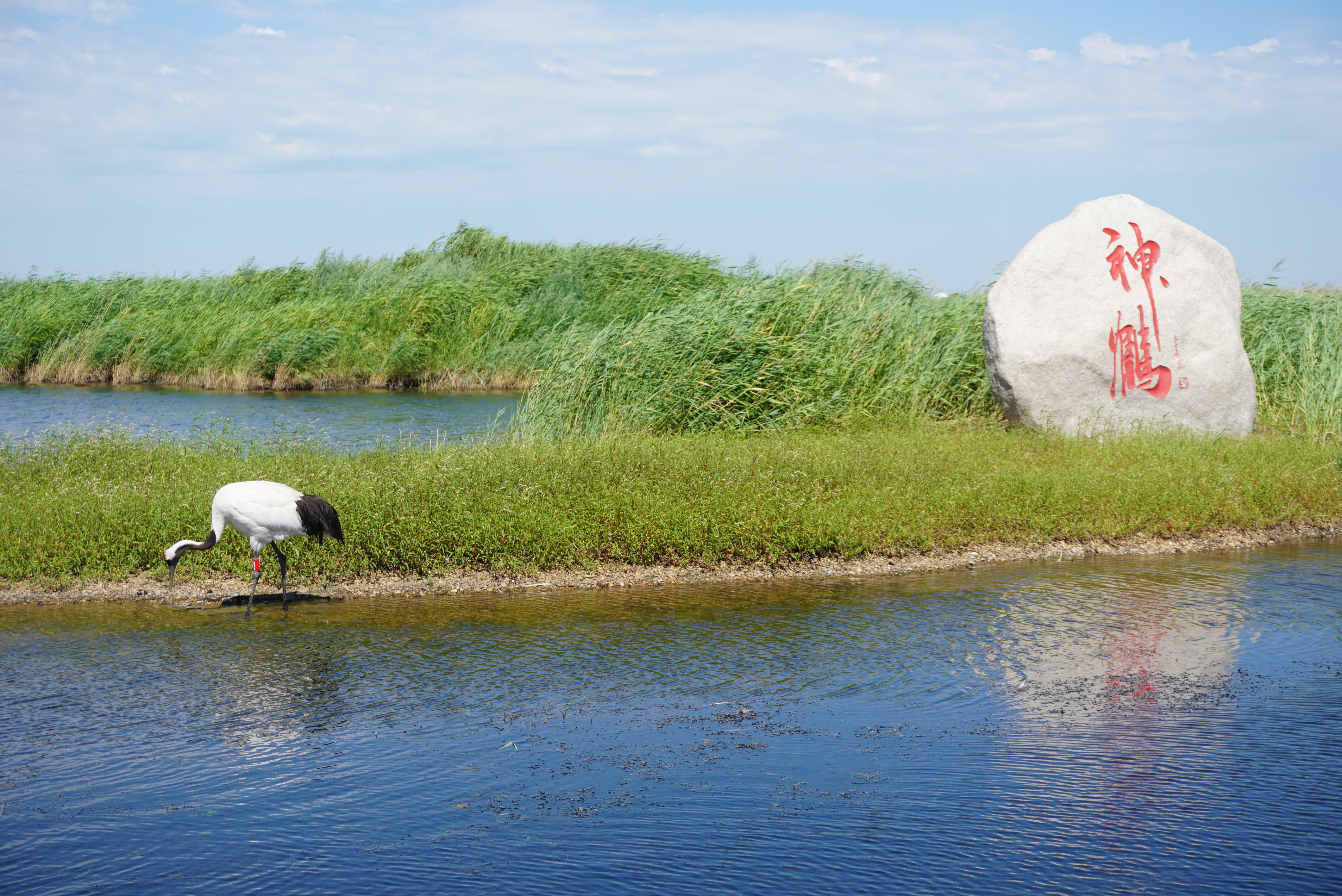 运城盛会,尊敬的领导与朋友们共襄盛举